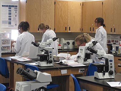 Students In Lab Image