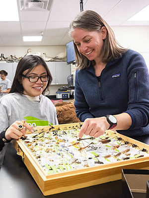 Learning about insects