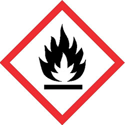 Flame Pictogram