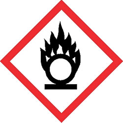 Flame Over Circle Pictogram