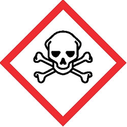 Skull and Crossbones Pictogram