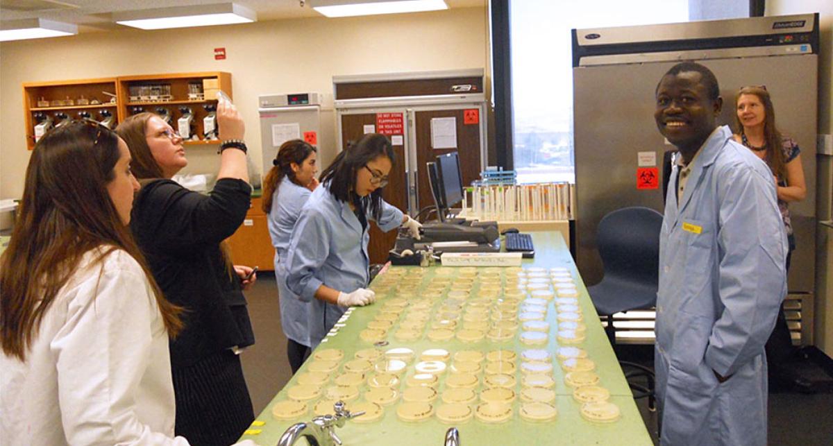 Mwinnyaa working in the TMCC bio phage research lab as a student. 