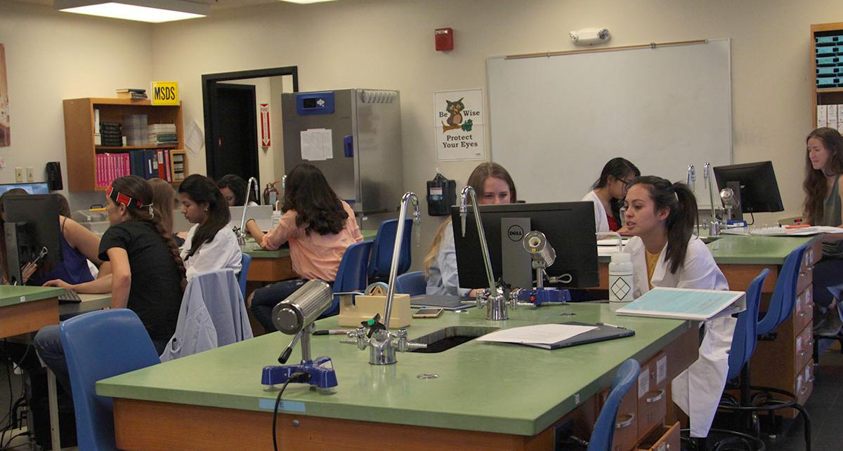 Students in the Summer BioResearch Program analyze and test their soil samples in a wet lab setting. 