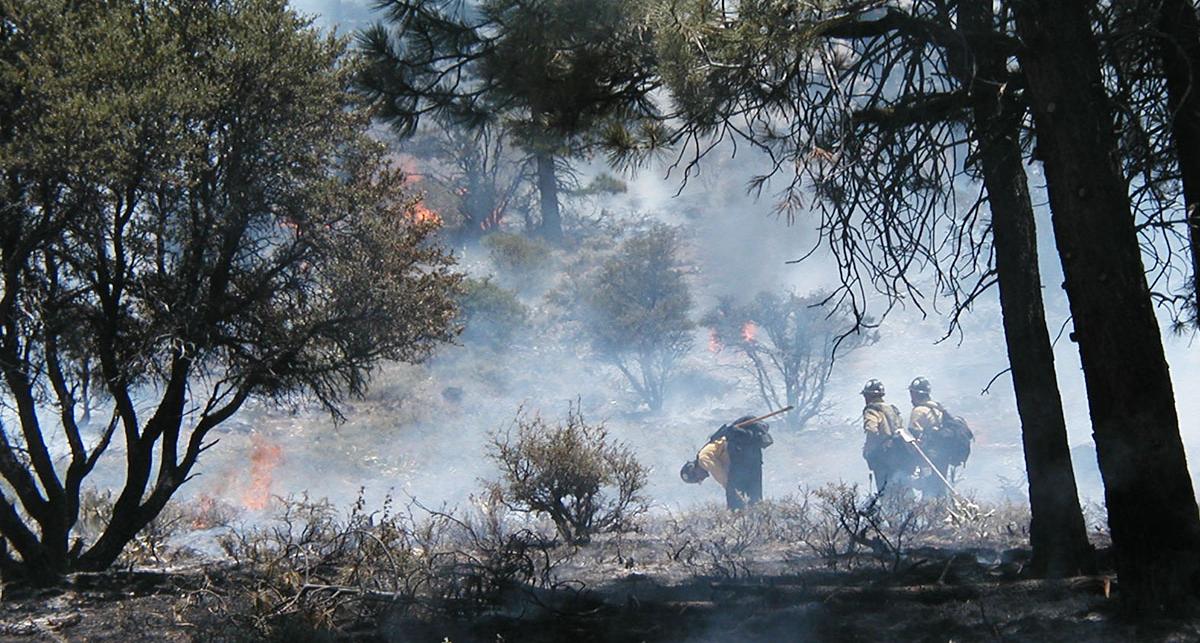 Firefighters attack on the fire ridge