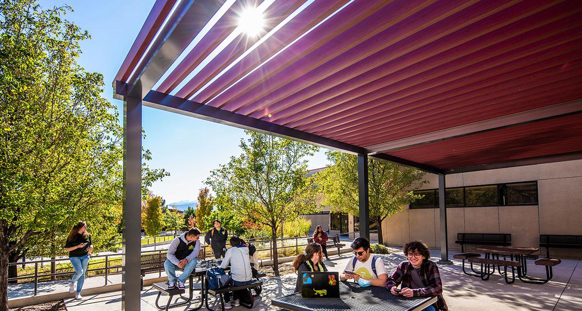 Students sitting outdoors near the trellis next to the cafe.