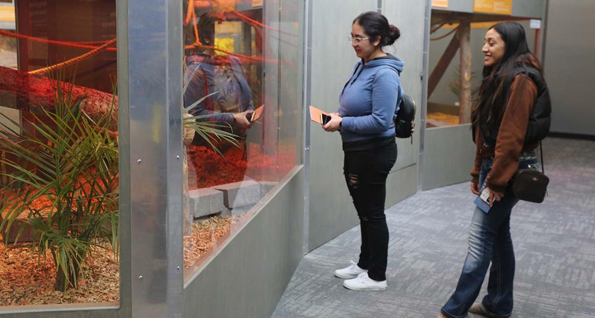 Two students viewing a terrarium. 