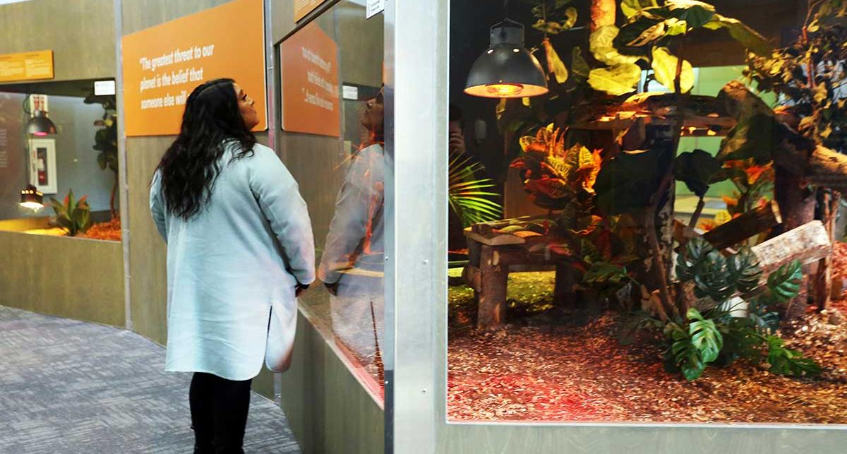 A student looking at a terrarium. 