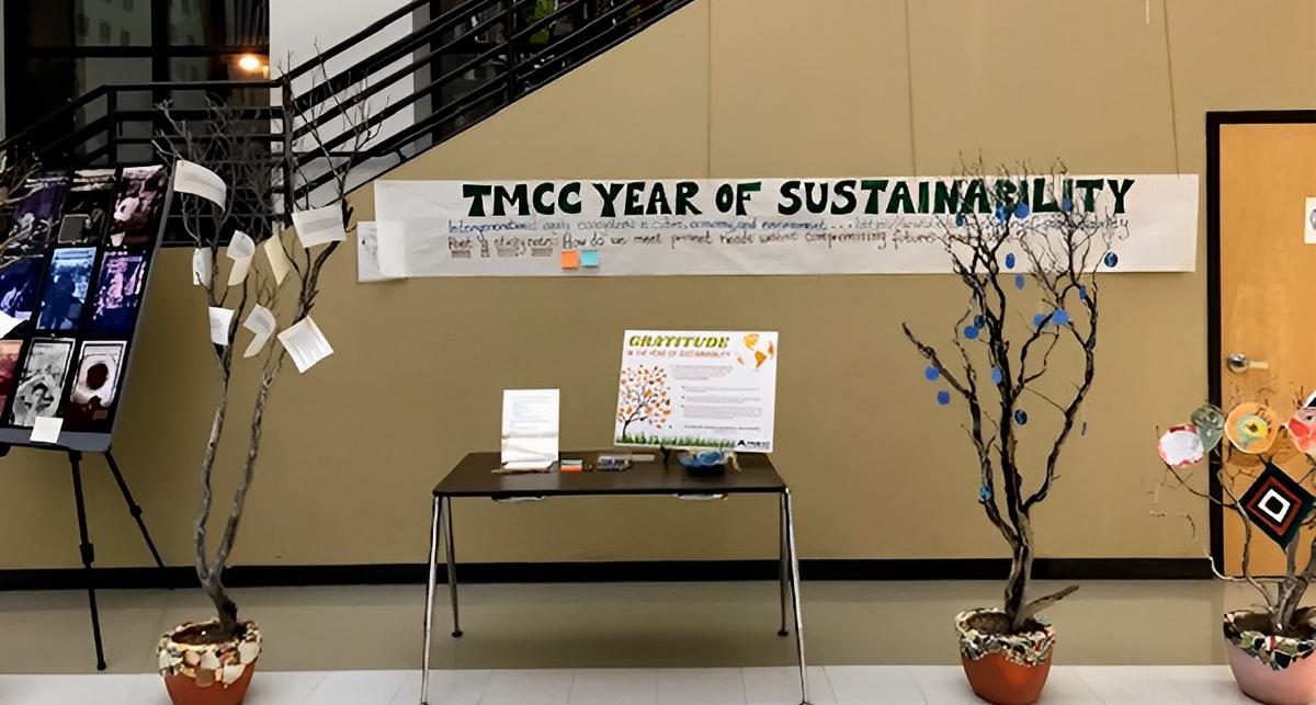 Mindful Manzanita Mosaic display trees.