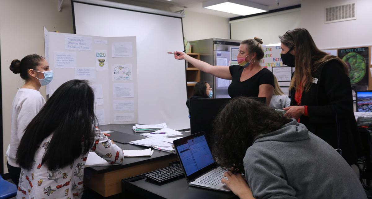 Students in BIO 190 present their research.