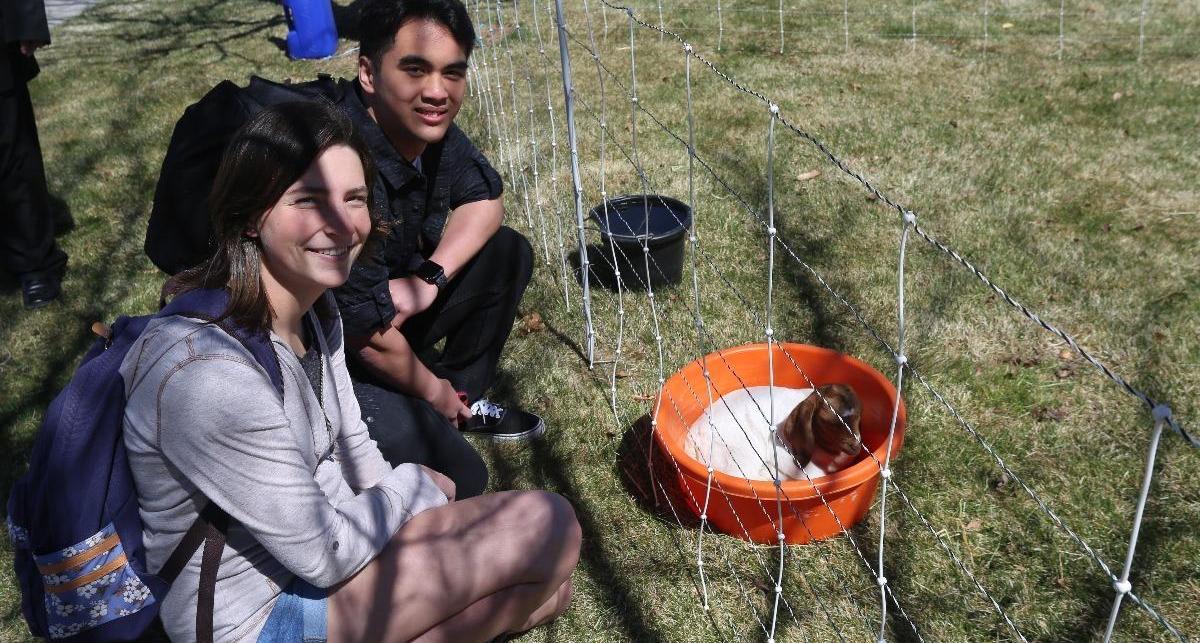 Students happy to see an adorable baby goat.