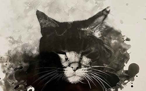 'Oscar' by Heidi Archdekin. It depicts a black cat with a white mouth, nose, and whiskers, eyes closed, surrounded by a smokescreen of grey and monochromatic colors.