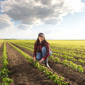 Student crouching in a crop field