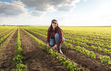 Student crouching in crop field.