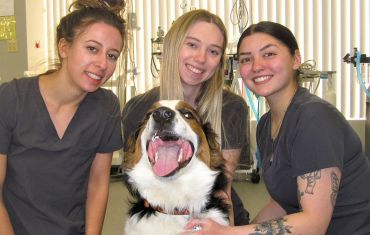 Three Students around a dog